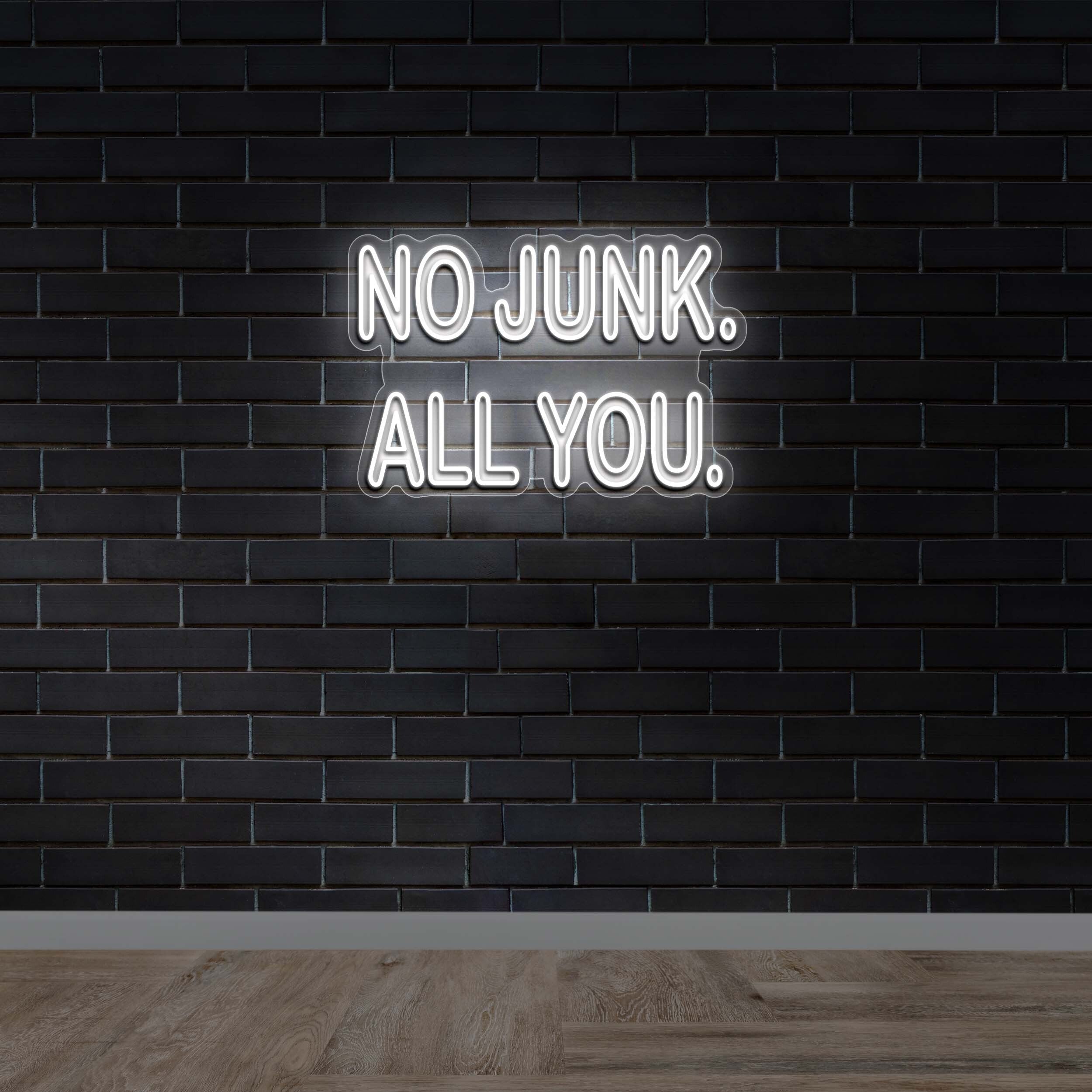 No Junk All You - Premium Neon Artwork