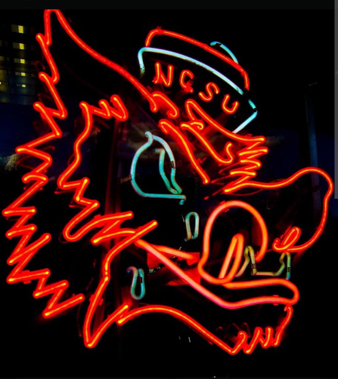 Custom Design #246 - Premium Neon Artwork