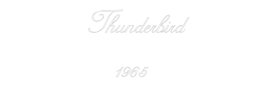 Custom Neon: Thunderbird
...