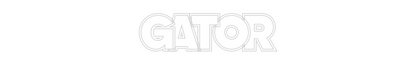 Custom Neon: Gator