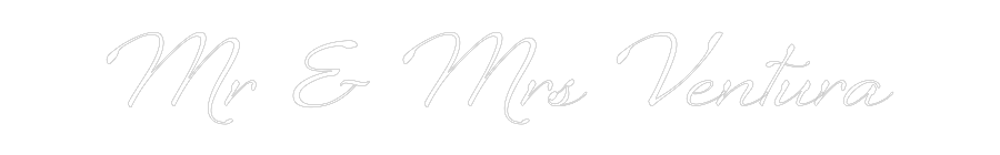 Custom Neon: Mr & Mrs Vent...