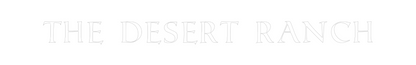 Custom Neon: The Desert Ra...