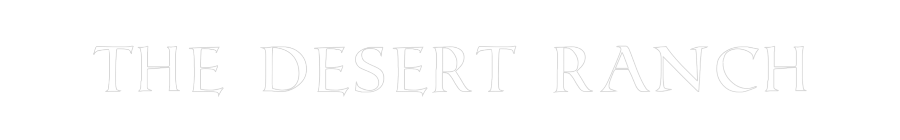 Custom Neon: The Desert Ra...