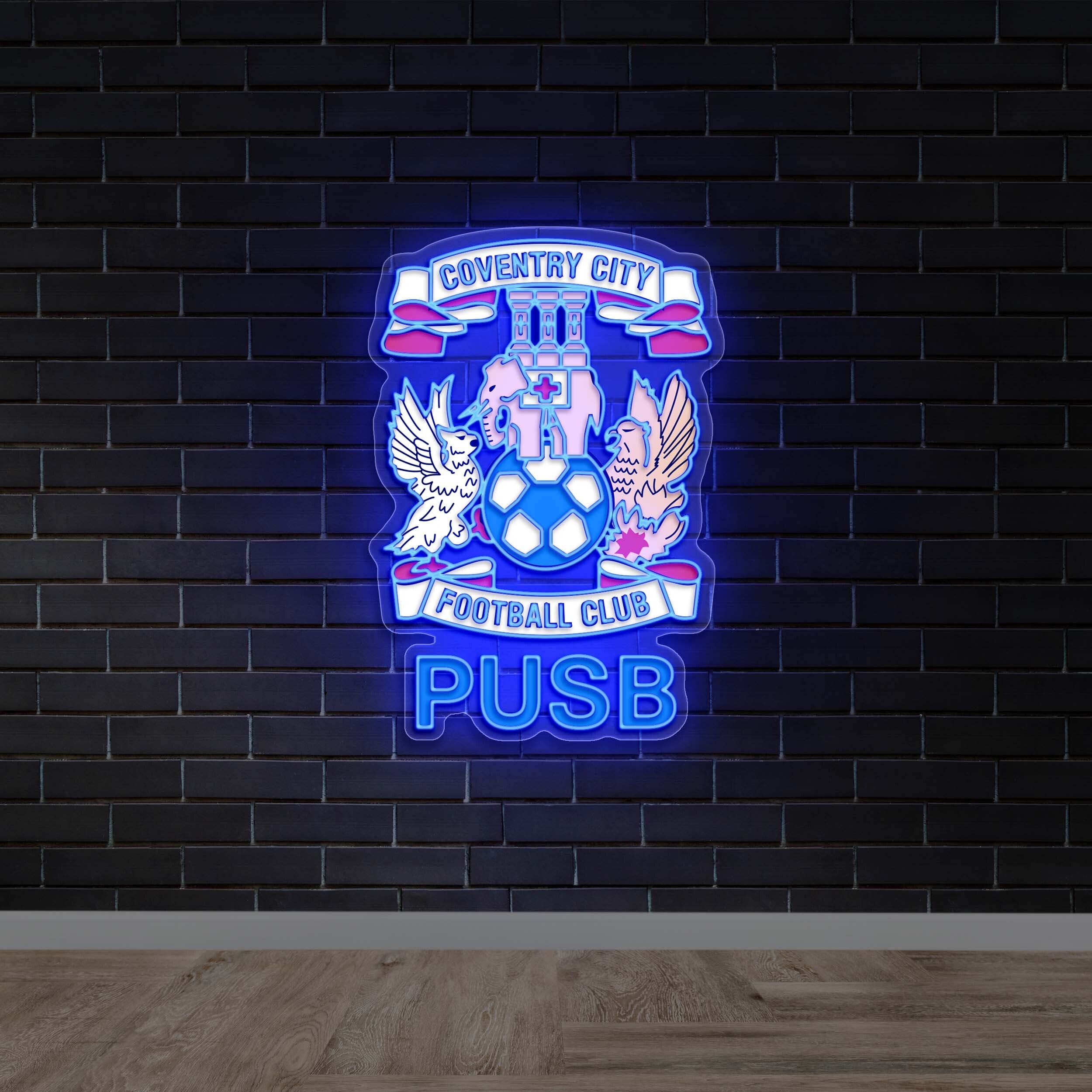 PUSB - Premium Neon Artwork