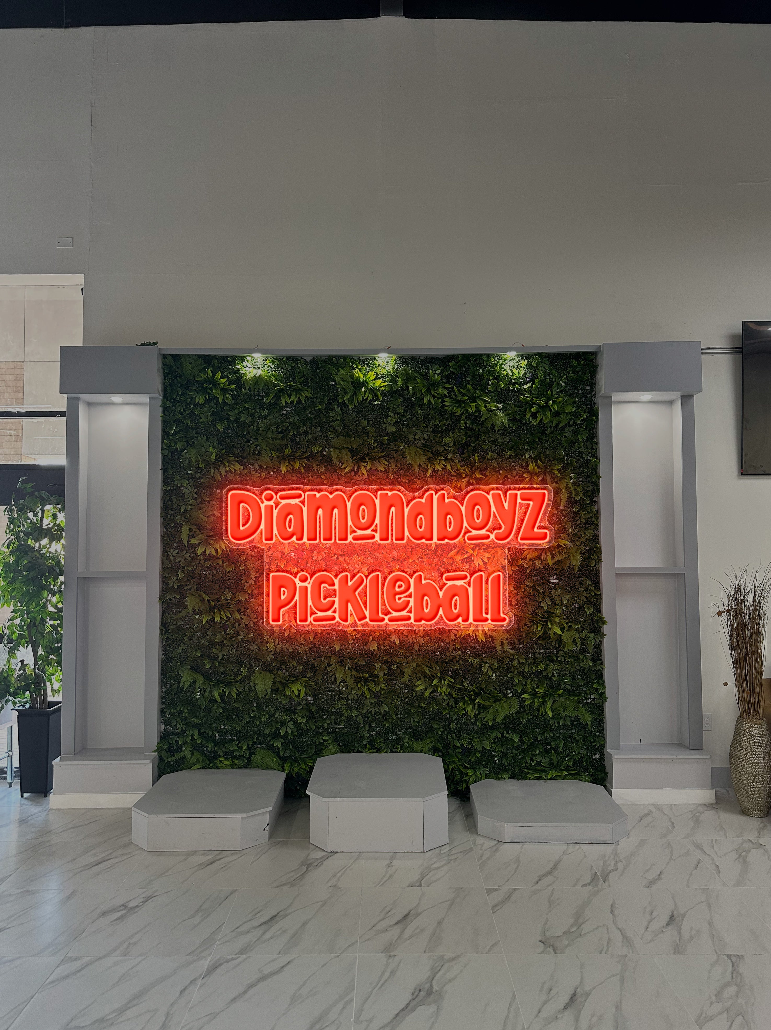 DIAMONDBOYZ PICKLEBALL (double-tubed version) - Premium Neon Artwork