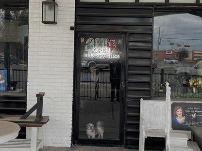 OPEN 956-797-1122 - Premium Neon Artwork