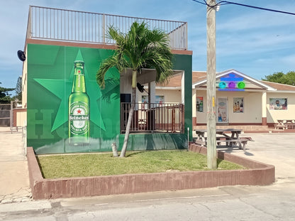 THE CONSERVANCY | Triangular - Premium Neon Artwork