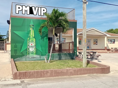 PM VIP - Premium Neon Artwork