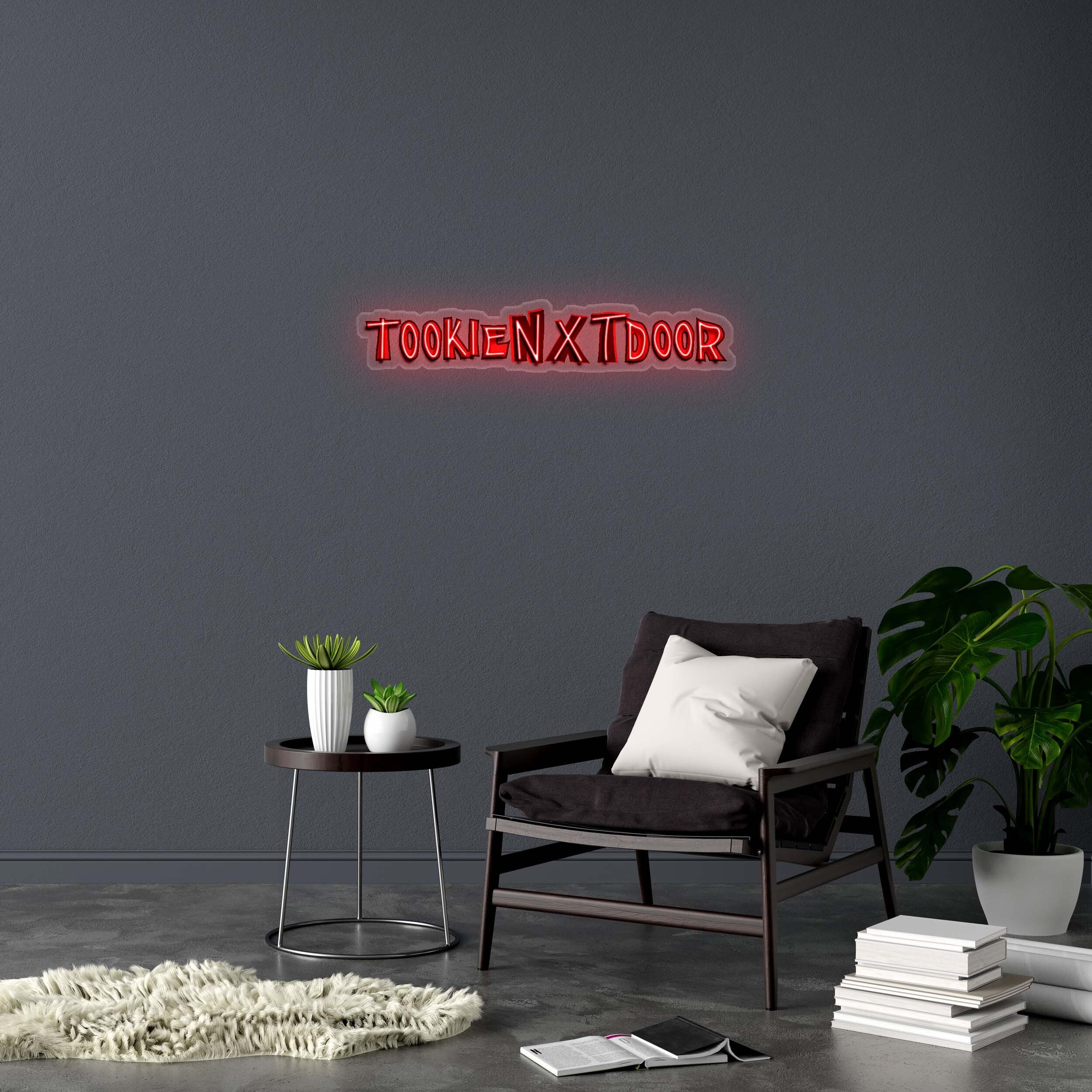 TOOKIEN X TDOOR - Premium Neon Artwork