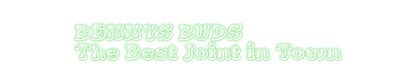 Custom Neon: BENNYS BUDS
...