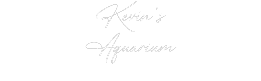 Custom Neon: Kevin’s
Aqua...