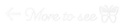 Custom Neon Sign:  More to see 
