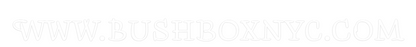 Custom Neon Sign: www.bushboxny...